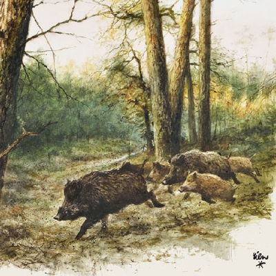 Салфетка для декупажа 13311020 33 x 33 cm Wild Boars In The Woods ― VIP Office HobbyART