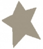 Craft punch medium 2,5cm-1" star