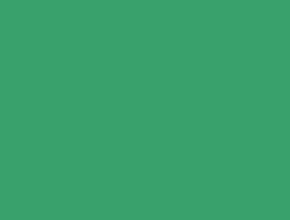 Foam Rubber CreaSoft 20 x 30 x 0.2 cm green ― VIP Office HobbyART