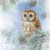 Napkin 33312075 33 x 33 cm Tawny Owl