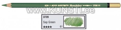 Aquarell  Koh-I-Noor coloured pencil 3720 sap green ― VIP Office HobbyART