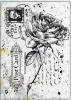 Clear stamps 6410/0044 - Old Letter Rose nr.2