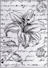 Clear stamps 6410/0059 - Lillies nr.2