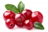 Fragrance oil 50ml, Cranberry