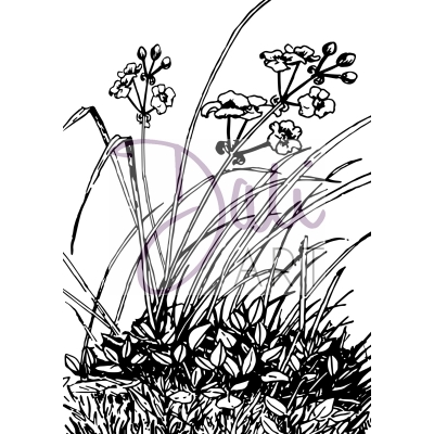 Clear stamp A6 - Meadow Flowers ― VIP Office HobbyART