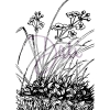 Clear stamp A6 - Meadow Flowers