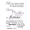 Clear stamp A6 - Life & Flower Sentiments