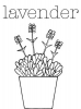 BH Tinchie Lavender Clear Stamp