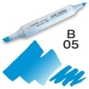 Copic marker Sketch B-05