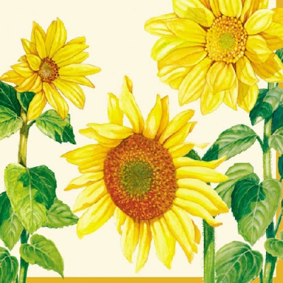 Салфетка для декупажа 13305840 33 x 33 cm HELIANTHUS CREAM ― VIP Office HobbyART