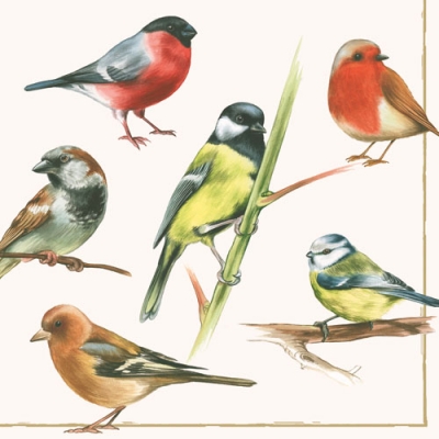 Napkin 13306020 33 x 33 cm BIRDS ― VIP Office HobbyART