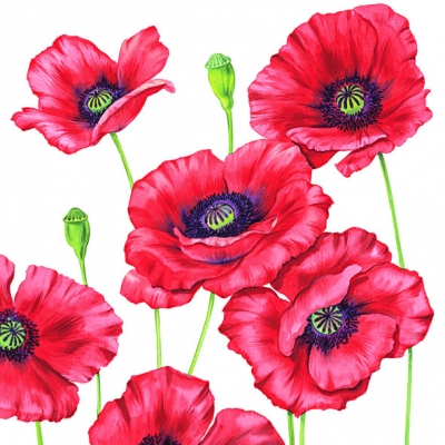 Салфетка для декупажа 13308505 33 x 33 cm ROMANTIC POPPY  ― VIP Office HobbyART