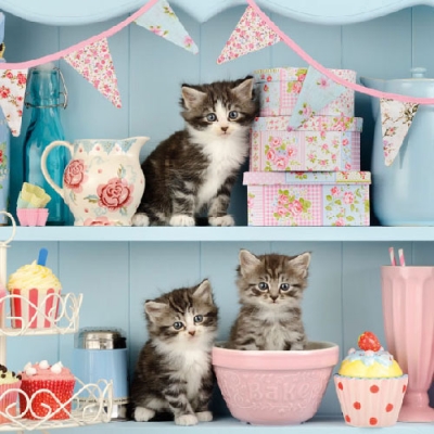 Salvrätik 13308990 33 x 33 cm Cats In The Kitchen ― VIP Office HobbyART