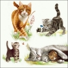 Napkin 13309445 33 x 33 cm Cats Family 