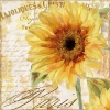 Napkin 13309655 33 x 33 cm Tournesol 