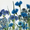Napkin 200030 33 x 33 cm Blue meadow