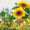 Napkin 200031 33 x 33 cm Yellow meadow