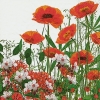 Салфетка для декупажа 200032 33 x 33 cm Red meadow
