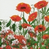 Napkin 200032 33 x 33 cm Red meadow