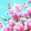 Салфетка для декупажа - 33 x 33 cm Blooming Magnolia