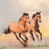 Salvrätik 211511 33 x 33 cm Wild Horses