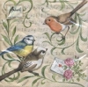 Napkin - 33 x 33 cm SINGING BIRDS