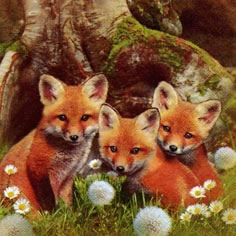 Salvrätikud - Салфетка для декупажа - 33 x 33 cm Little Foxes