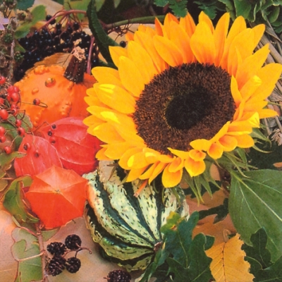 Salvrätik - 33 x 33 cm Sunflower Bloom