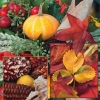 Салфетка для декупажа - 33 x 33 cm Harvest Collage