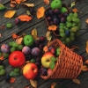 Salvrätik - 33 x 33 cm Autumn Fruits Still Life