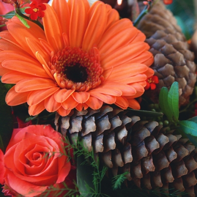 Salvrätik - 33 x 33 cm Gerbera & Pinecone