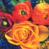 Салфетка для декупажа - 33 x 33 cm Ranunculus y Rosa Amarilla