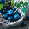Napkin - 33 x 33 cm Blueberries