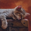 Salvrätik 371116 33 x 33 cm Sleeping Darling