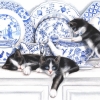 Salvrätik 372615 33 x 33 cm Black Cats with China