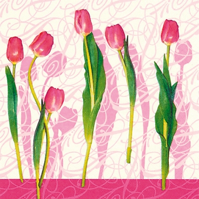 Salvrätik - 33 x 33 cm Tulip Dreams pink