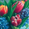 Салфетка для декупажа - 33 x 33 cm Tulipan & Hyacinth
