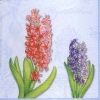 Салфетка для декупажа NV-74069 33 x 33 cm hyacinth