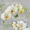 Napkin NV-74467 33 x 33 cm Orchidee