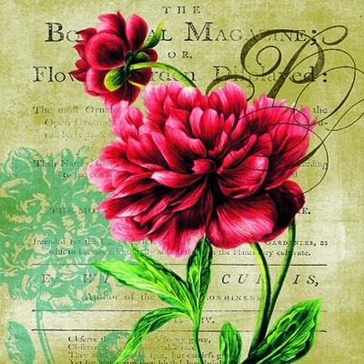 Салфетка для декупажа NV-74493 33 x 33 cm Red Rose ― VIP Office HobbyART