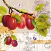 Napkin NV-74519 33 x 33 cm Botany Plum