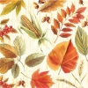 Napkin SDL-000511 33 x 33 cm HARVEST TIME cream