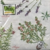Салфетка для декупажа - 33 x 33 cm Herbs