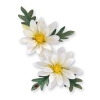 Sizzix SG thinlits dies flower mini daisy