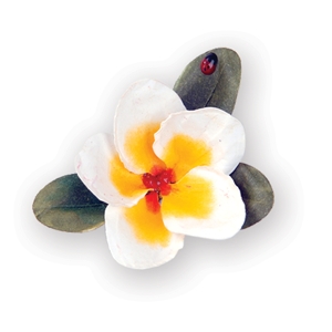 Sizzix SG thinlits die set 9pk flower plumeria ― VIP Office HobbyART