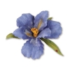 Sizzix SG thinlits die set 10pk flower beaded iris