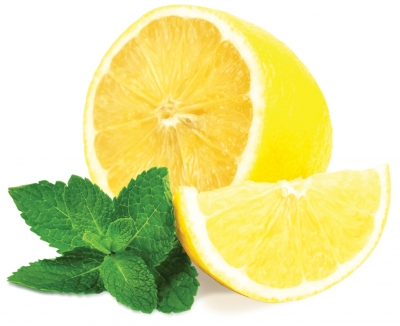 Ароматическое масло 10мл, Lemon mint ― VIP Office HobbyART