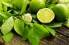 Fragrance oil 50ml, Lime blossom