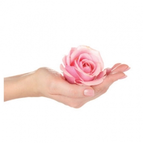 Fragrance oil 50ml, Eeterlik õli body rose ― VIP Office HobbyART