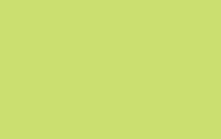 Краска по шелку H.DUPONT CLASSIQUE 603 125ml, закрепление паром, весенняя зелень. ― VIP Office HobbyART
